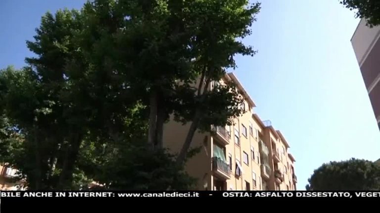 Canale 10 News 06/06/2020