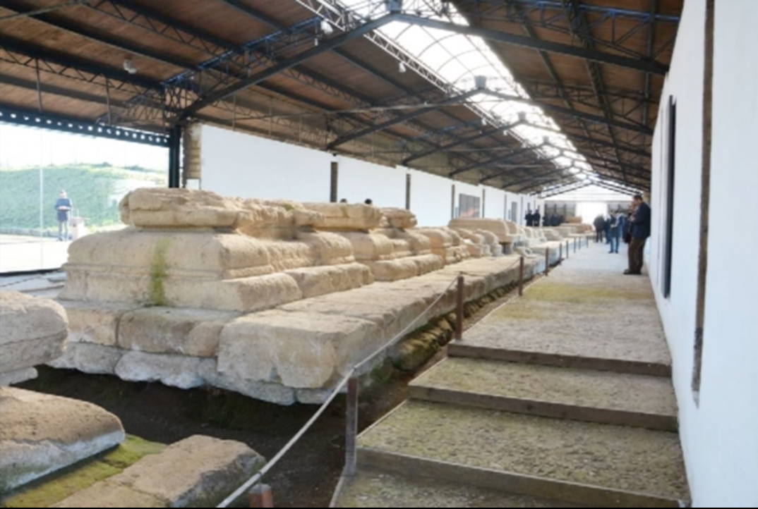 Tutti gli appuntamenti in programma al Museo Lavinium per il mese di agosto: laboratori didattici per bambini, visite guidate botaniche, telescopi per osservare le stelle e incontri con gli autori