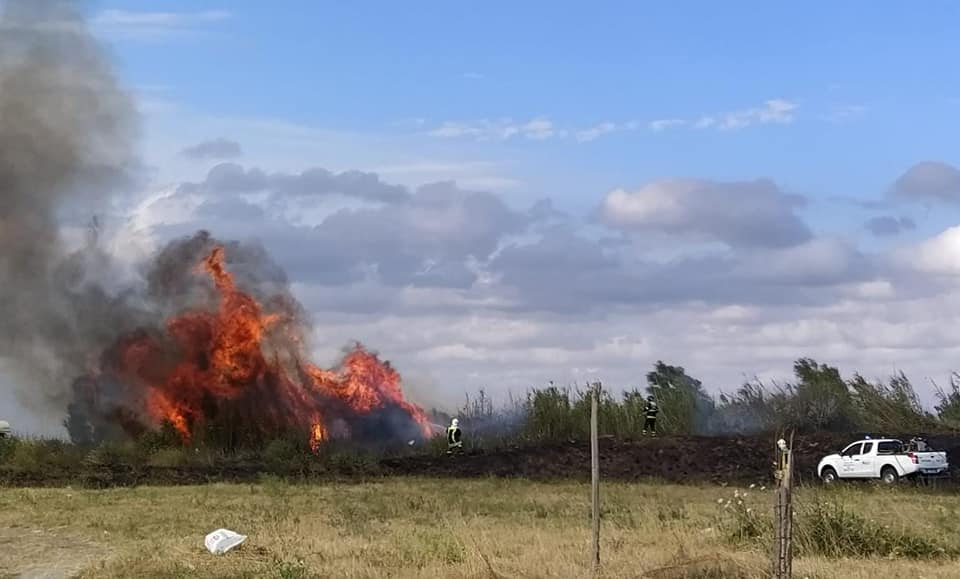 Fiumicino: la Protezione Civile organizza un corso per operatori anti incendio 1