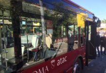 Roma, chiusure stradali per lavori di potatura in centro: tredici linee bus deviate