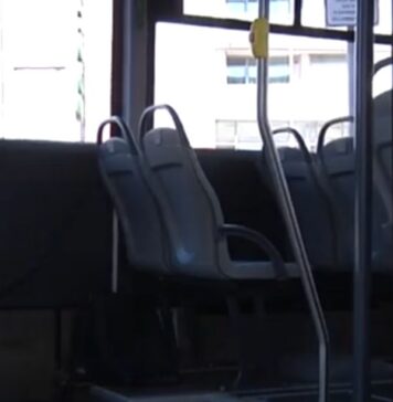 trasporto pubblico