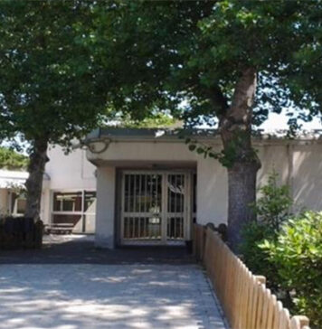 scuola isole azzorre