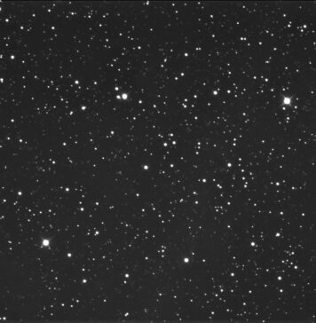 stelle