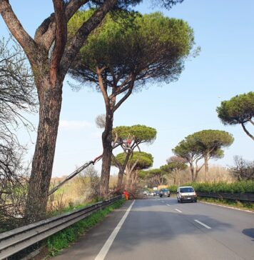 via Cristoforo Colombo