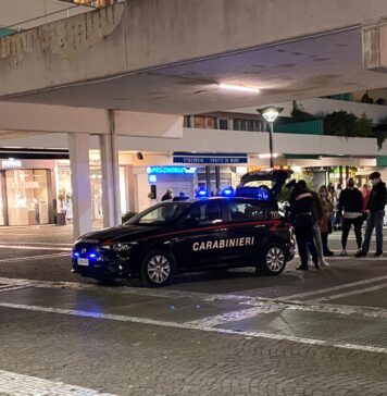 rissa a Le Terrazze