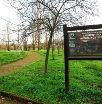 riserva naturale laurentino acqua acetosa