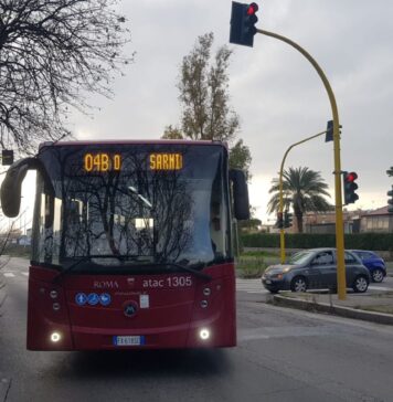 bus dragona