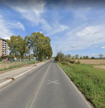 portuense