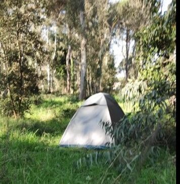 accampamento abusivo ostia