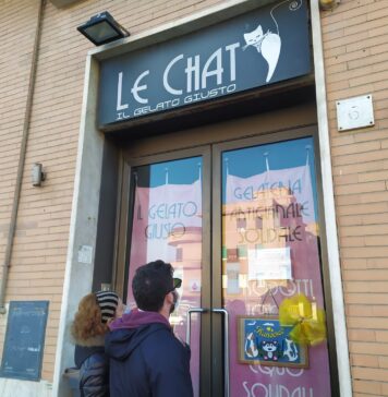 le chat chiude
