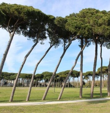 parchi fiumicino