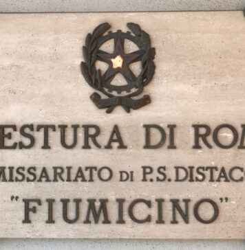 rissa fiumicino