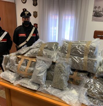 carabinieri marijuana