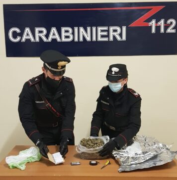 marijuana pusher