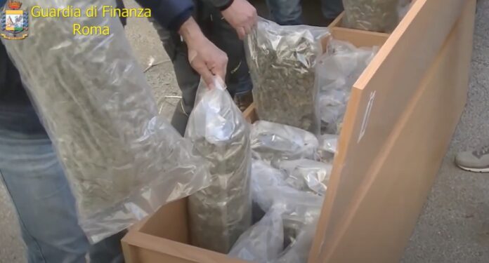 marijuana porto civitavecchia