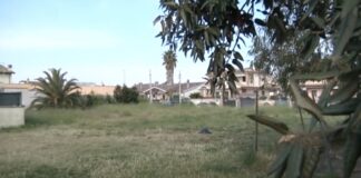 ostia antica rovi e erbacce