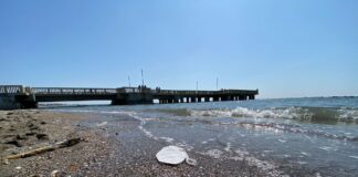 ostia rifiuti spiaggia