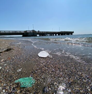 ostia rifiuti spiaggia