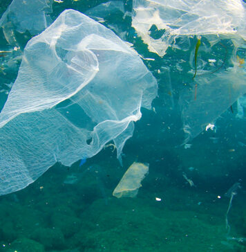 plastica-mare