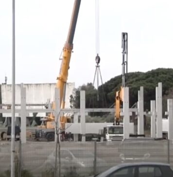 raccolta firme drive-in