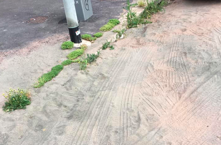 Ostia Ponente, effetto savana: marciapiedi sommersi da erbacce e rifiuti 3
