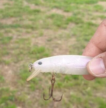 ami-da-pesca