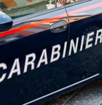 carabinieri furto villetta ladispoli