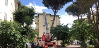 case via galli tegole san giorgio