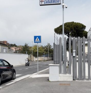 reddito cittadinanza trullo