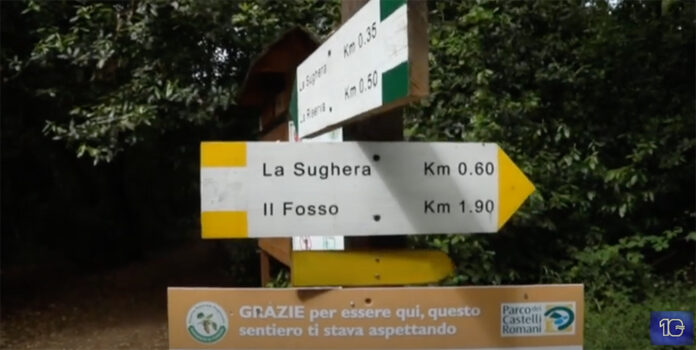 Un'escursione gratuita nella Sughereta di Pomezia per conoscere da vicino un ecosistema ricco di specie vegetali e animali