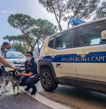 cagnolina salvata polizia locale