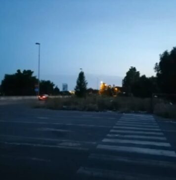 parco leonardo