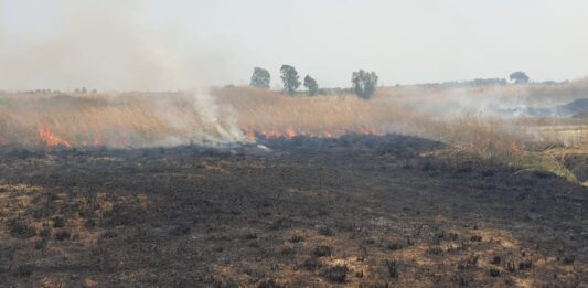 incendio parco leonardo