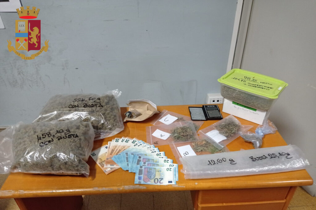 Controlli antidroga tra Roma est e litorale: scoperta una coltivazione di hashish 1 Controlli antidroga tra Roma est e litorale: scoperta una coltivazione di hashish 1