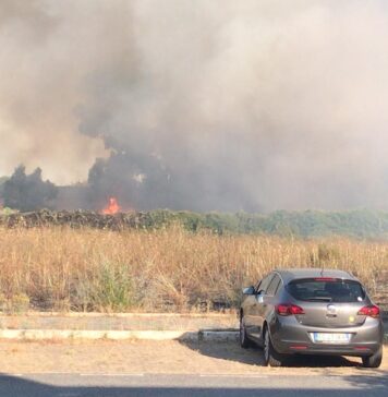 PROTEZIONE CIVILE INCENDI