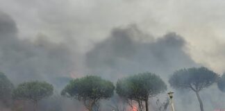 incendi civitavecchia