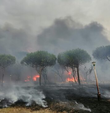 incendi civitavecchia