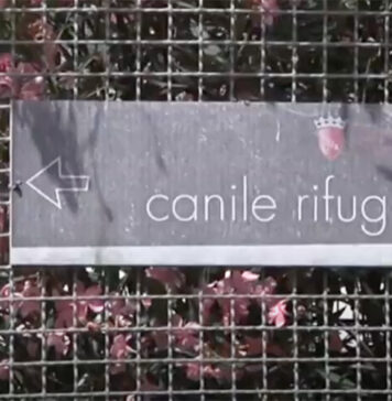 canile-muratella