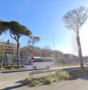 alberi pericolanti