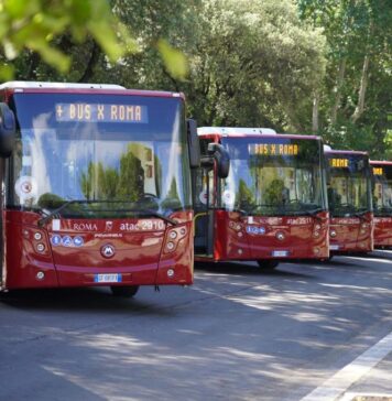 bus roma