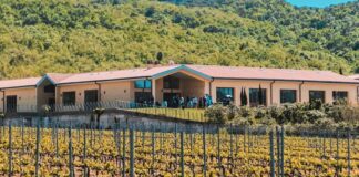 giallo azienda agricola capalbio