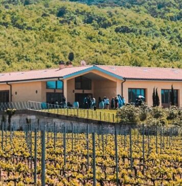 giallo azienda agricola capalbio