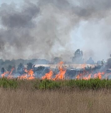 FIUMICINO-INCENDIO-ORDINANZA-CONTROLLI-FERREI-CONTRO-PIROMANI-