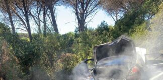 auto a fuoco in pineta