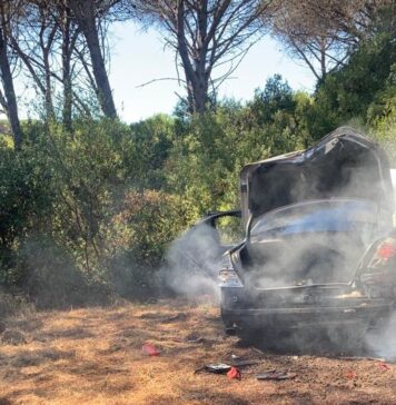 auto a fuoco in pineta