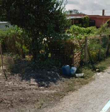 casa famiglia ardea