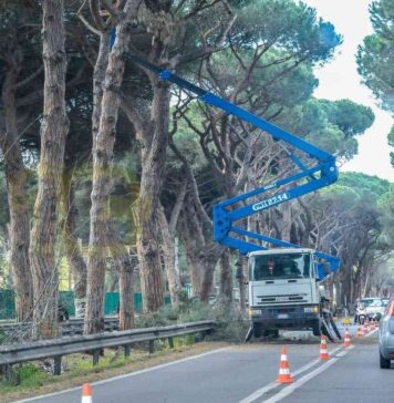 Ostia, lavori via del Mare e via Ostiense per lo sfalcio della vegetazione: interventi anche di notte