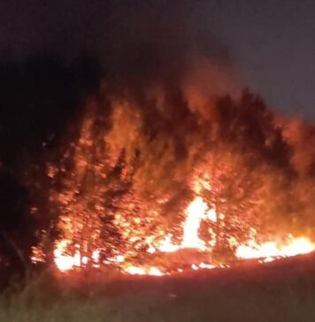 incendio acilia