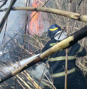 incendio a fiumicino