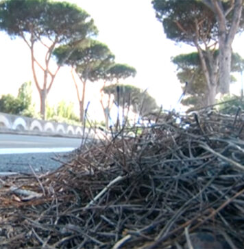 sicurezza-stradale